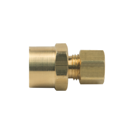 BrassCraft Compression Female Adaptor, 1/4" OD Tube x 1/4" FIP 66-4-4X