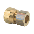 BrassCraft Compression Female Adaptor, 1/2