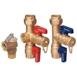 IPS x IPS Service Valve Kit with Pressure Relief Valve (200 kBtu/hr)