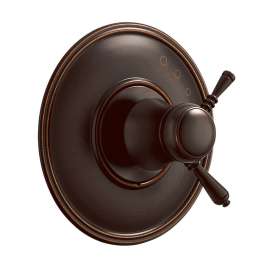 Shower Trim in Venetian Bronze