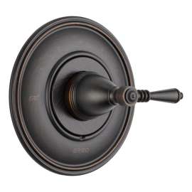 Shower Trim in Venetian Bronze