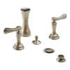 Less Handles Bidet in Brushed Nickel