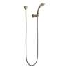 Hand Shower Package in Brushed Nickel