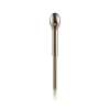 Brizo Charlotte(R): Lift Rod Assembly, RP70599PN
