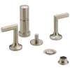 Bidet Faucet in Brushed Nickel Finish