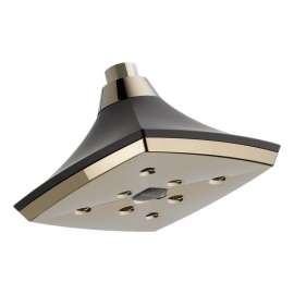 Single Function Raincan Shower Head in Polished Nickel/Cocoa Bronze