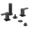 Bidet Faucet Less Handles in Matte Black Finish