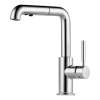 Single Hole Faucet Pull-Out in Polished Chrome