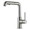 Single Hole Faucet Pull-Out in Brilliance Stainless