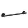Grab Bar in Matte Black