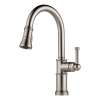 Deck Mounted Kitchen Faucet in Brilliance Stainless