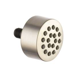 Body Spray Head in Brushed Bronze