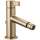 Bidet Faucet in Luxe Gold Finish