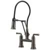 1.8 GPM Articulating Bridge Faucet in Luxe Steel Finish