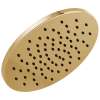 1.75 GPM Round Raincan Showerhead in Polished Gold