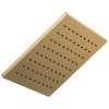 1.75 GPM Square Raincan Showerhead in Luxe Gold