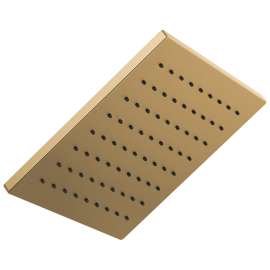 1.75 GPM Square Raincan Showerhead in Luxe Gold