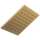 1.75 GPM Square Raincan Showerhead in Luxe Gold