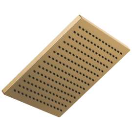 2.5 GPM Square Raincan Showerhead in Luxe Gold