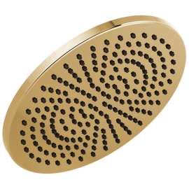 2.5 GPM Round Raincan Showerhead in Polished Gold