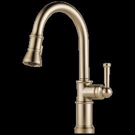 Brizo Artesso(R): Single Handle Pull-Down Kitchen Faucet, 63025LF-GL