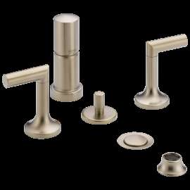 Brizo Odin(R): Bidet, 68475-BN