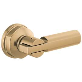 Brizo Invari(R): Universal Flush Lever, 696376-GL