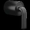 Brizo Allaria(R): Pressure Balance Valve Trim Twist Lever Handle Kit, HL60P67-BL