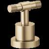 Brizo Litze(R): Roman Tub Faucet T-Lever Handle Kit, HL633-GL