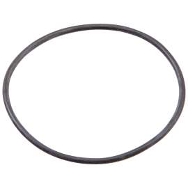 Brizo Other: O-Ring for Handle, RP43945