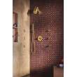 Brizo Essential(TM) Shower: Handshower Hose And Gaskets, RP49645GL