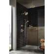 Brizo Litze(R): 6-Function Diverter Trim - Less Handle, T60935-PNLHP
