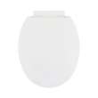 Plastic Round Slow-Close Toilet Seat in White