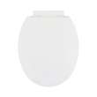 Plastic Round Slow-Close Toilet Seat in Crane White