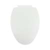 Plastic Elongated Slow-Close Toilet Seat in White