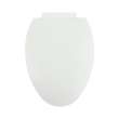 Plastic Elongated Slow-Close Toilet Seat in Crane White