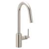 Aluma Spot resist stainless one-handle high arc pulldown kitchen faucet, 75135SRS