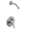 Ash Chrome cycling shower only, T58912NH