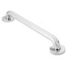 24in x 1-1/4in Grab Bar with Concealed Screws in Polished Stainless Steel