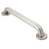32in x 1-1/4in Grab Bar in Peened