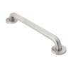 36in x 1-1/4in Grab Bar in Peened