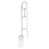 30in x 1-1/4in Fold Up Grab Bar with Integrated Tissue Holder in Glacier