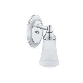 Single Light Bathroom Sconce with Frosted Shade in Chrome