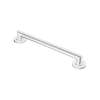 24in Grab Bar in Chrome