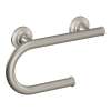 Brushed nickel 8" Grab Bar with Toilet Paper Holder, LR2352DBN