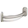 Brushed nickel 9" Grab Bar with Corner Shelf, LR2354DBN
