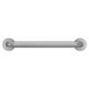 Moen Home Care 18" Concealed Screw Grab Bar, LR8918P
