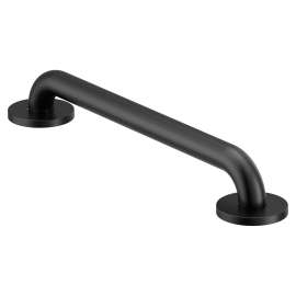 Moen Home Care Stainless 16" Grab Bar, R8716BL
