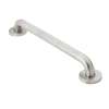 Moen Home Care Peened 18" Concealed Screw Grab Bar, R8718P