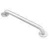 Moen Home Care Polished stainless 42" Concealed Screw Grab Bar, R8742PS